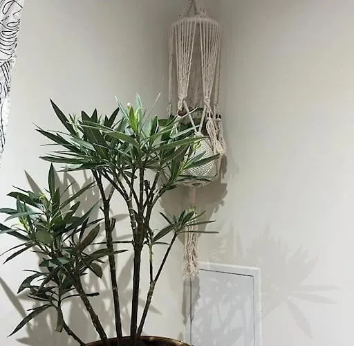 Logement Neuf A 2 Pas Du Stade De France *